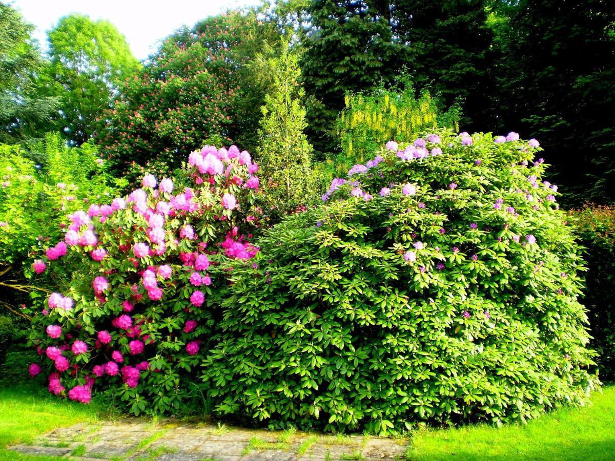 Villa Des Capucins ลุกซุยล์-เลส์-แบ็งส์ ภายนอก รูปภาพ